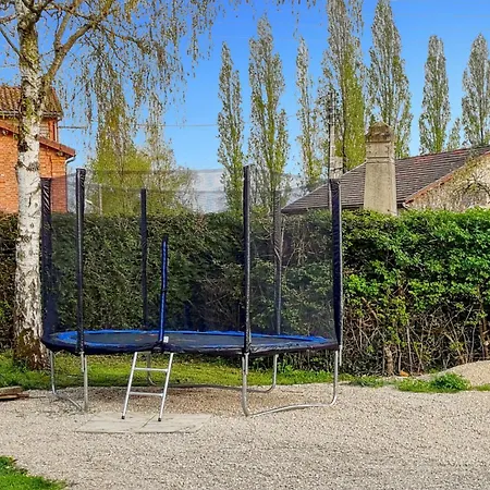 Les Piafs Du Der 1 Joncreuil