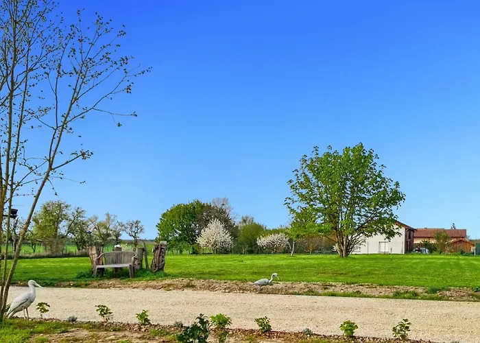 شقة Les Piafs Du Der 1 Joncreuil